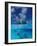 Female Divers Submerged Below Catamaran-Amos Nachoum-Framed Photographic Print