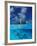 Female Divers Submerged Below Catamaran-Amos Nachoum-Framed Photographic Print