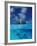 Female Divers Submerged Below Catamaran-Amos Nachoum-Framed Photographic Print