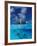 Female Divers Submerged Below Catamaran-Amos Nachoum-Framed Photographic Print