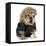 Female Dog - English Bulldog Wearing Blonde Wig and Black Leather Coat-Willee Cole-Framed Premier Image Canvas