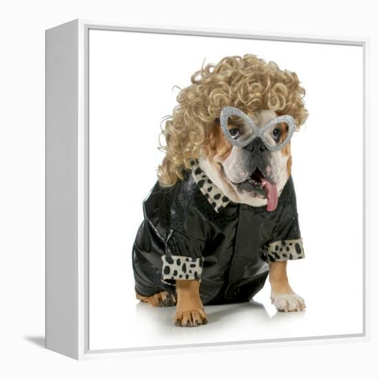 Female Dog - English Bulldog Wearing Blonde Wig and Black Leather Coat-Willee Cole-Framed Premier Image Canvas