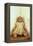 Female Doll-Den Reader-Framed Premier Image Canvas