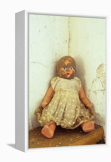 Female Doll-Den Reader-Framed Premier Image Canvas