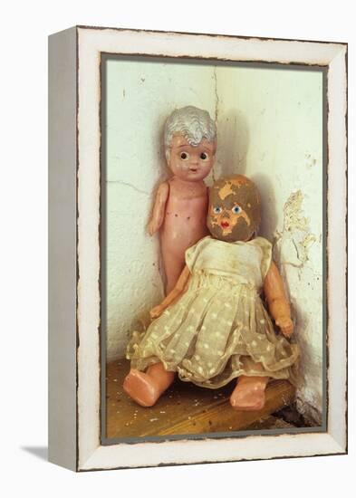 Female Dolls-Den Reader-Framed Premier Image Canvas
