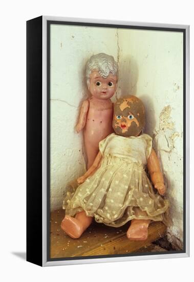 Female Dolls-Den Reader-Framed Premier Image Canvas