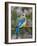 Female Eastern Bluebird-Adam Jones-Framed Photographic Print