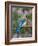 Female Eastern Bluebird-Adam Jones-Framed Photographic Print