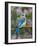 Female Eastern Bluebird-Adam Jones-Framed Photographic Print