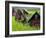 Female Farmers at Work in Rice Nursery, with Rain Protection, Annapurna Area, Pokhara, Nepal, Asia-Eitan Simanor-Framed Photographic Print