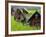 Female Farmers at Work in Rice Nursery, with Rain Protection, Annapurna Area, Pokhara, Nepal, Asia-Eitan Simanor-Framed Photographic Print