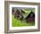 Female Farmers at Work in Rice Nursery, with Rain Protection, Annapurna Area, Pokhara, Nepal, Asia-Eitan Simanor-Framed Photographic Print