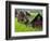 Female Farmers at Work in Rice Nursery, with Rain Protection, Annapurna Area, Pokhara, Nepal, Asia-Eitan Simanor-Framed Photographic Print