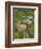 Female Farmers in Field with Traditional Rain Protection, Lwang Village, Annapurna Area,-Eitan Simanor-Framed Photographic Print