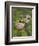 Female Farmers in Field with Traditional Rain Protection, Lwang Village, Annapurna Area,-Eitan Simanor-Framed Photographic Print