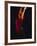 Female Flamenco Dancer, Cordoba, Spain-Merrill Images-Framed Photographic Print