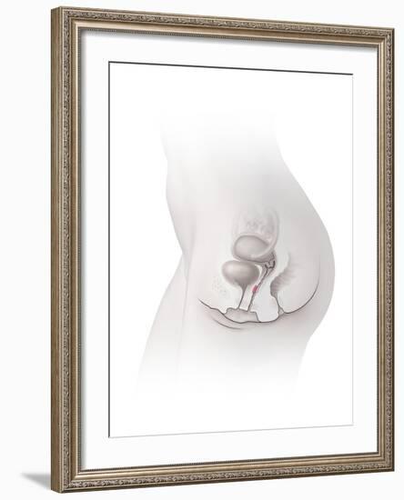 Female G-spot, Artwork-Henning Dalhoff-Framed Photographic Print