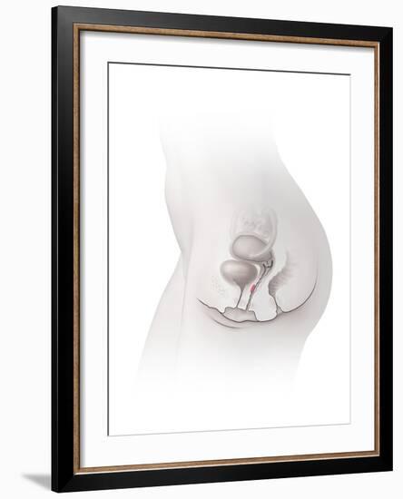 Female G-spot, Artwork-Henning Dalhoff-Framed Photographic Print
