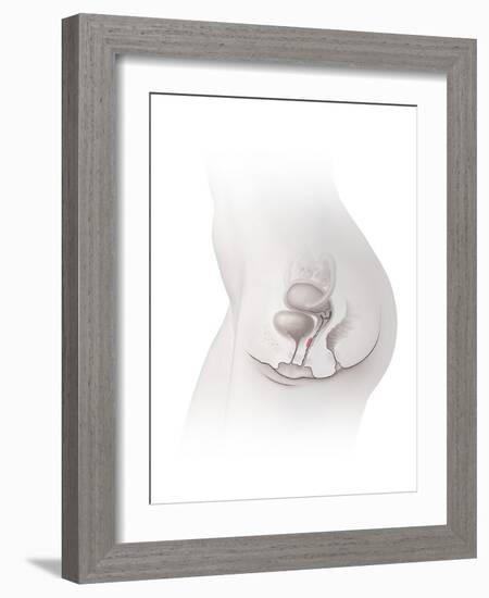 Female G-spot, Artwork-Henning Dalhoff-Framed Photographic Print