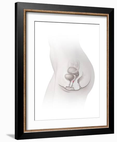 Female G-spot, Artwork-Henning Dalhoff-Framed Photographic Print