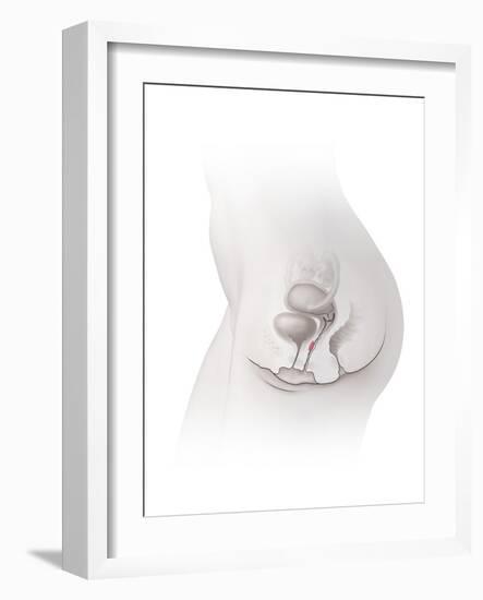 Female G-spot, Artwork-Henning Dalhoff-Framed Photographic Print