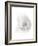 Female G-spot, Artwork-Henning Dalhoff-Framed Photographic Print