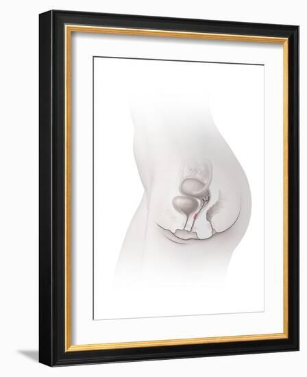 Female G-spot, Artwork-Henning Dalhoff-Framed Photographic Print