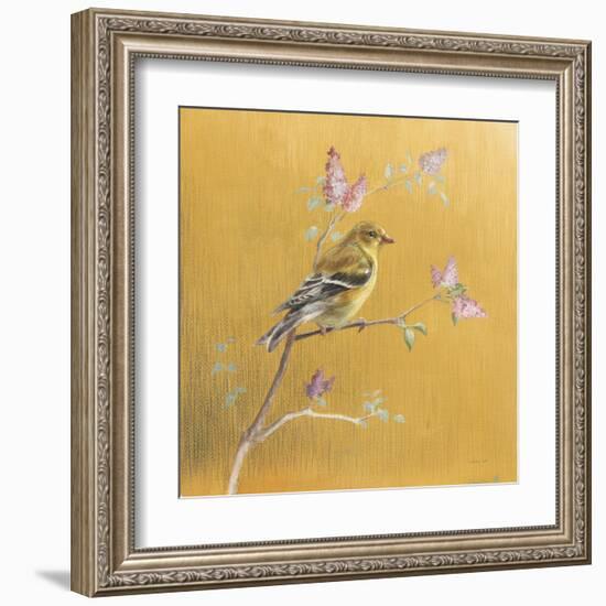 Female Goldfinch on Gold-Danhui Nai-Framed Art Print