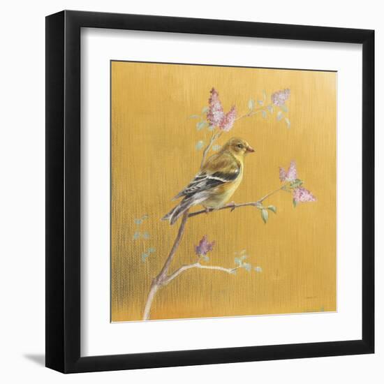 Female Goldfinch on Gold-Danhui Nai-Framed Art Print