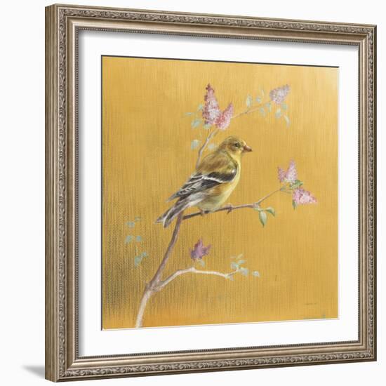 Female Goldfinch on Gold-Danhui Nai-Framed Art Print
