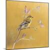 Female Goldfinch on Gold-Danhui Nai-Mounted Art Print