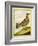 Female Grouse-Georges-Louis Buffon-Framed Giclee Print