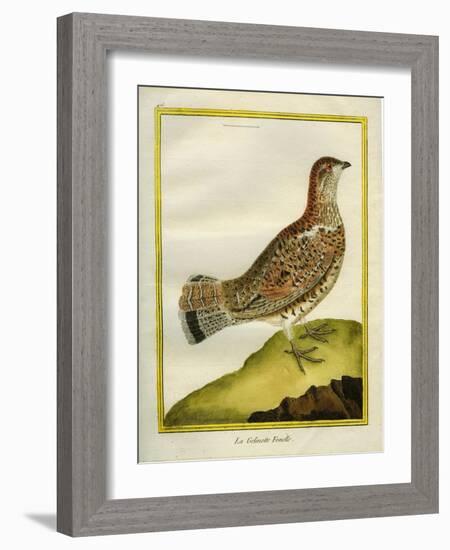 Female Grouse-Georges-Louis Buffon-Framed Giclee Print