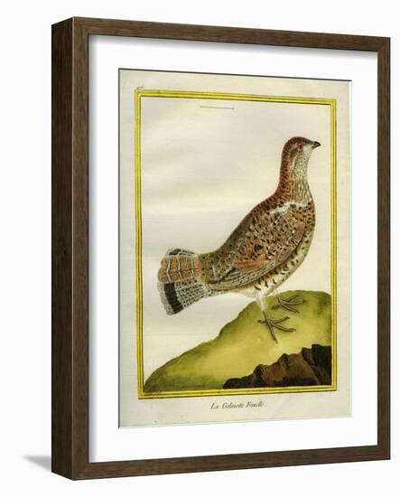 Female Grouse-Georges-Louis Buffon-Framed Giclee Print