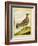 Female Grouse-Georges-Louis Buffon-Framed Giclee Print