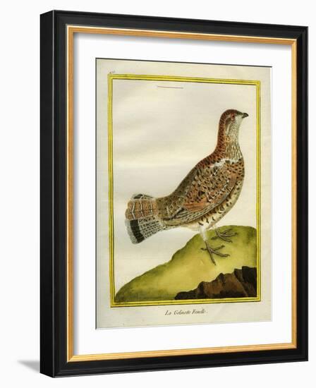 Female Grouse-Georges-Louis Buffon-Framed Giclee Print