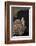 Female Gyrfalcon (Falco Rusticolus) Perched on Rock, Myvatn, Thingeyjarsyslur, Iceland, June 2009-Bergmann-Framed Photographic Print