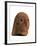 Female Head, 2nd Half of the 3rd Millenium BC-null-Framed Photographic Print