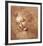 Female Head (La Scapigliata), c.1508-Leonardo da Vinci-Framed Art Print