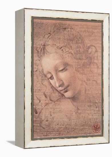 Female Head (La Scapigliata), c.1508-Leonardo da Vinci-Framed Stretched Canvas