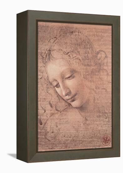 Female Head (La Scapigliata), c.1508-Leonardo da Vinci-Framed Stretched Canvas