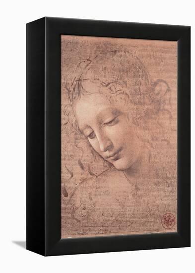 Female Head (La Scapigliata), c.1508-Leonardo da Vinci-Framed Stretched Canvas