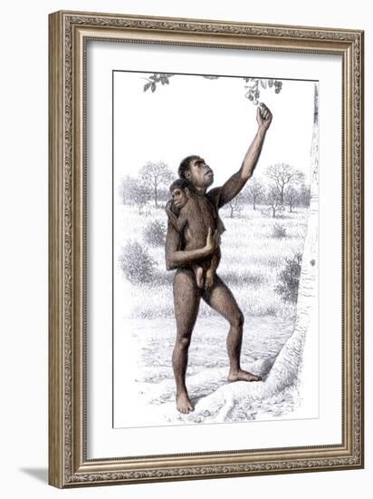 Female Homo Habilis-Mauricio Anton-Framed Photographic Print