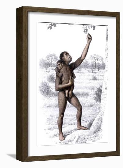 Female Homo Habilis-Mauricio Anton-Framed Photographic Print