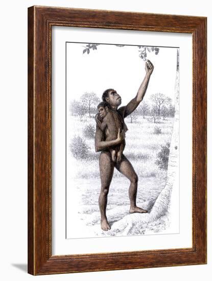 Female Homo Habilis-Mauricio Anton-Framed Photographic Print