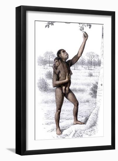 Female Homo Habilis-Mauricio Anton-Framed Photographic Print