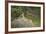 Female Impala (Aepyceros Melampus) Running, Kruger National Park, South Africa, Africa-James Hager-Framed Photographic Print