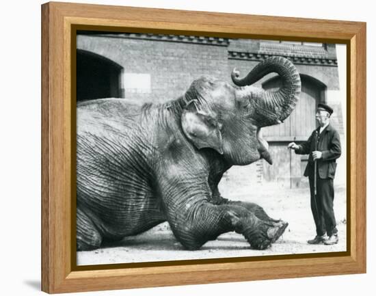 Female Indian Elephant 'Suffa Culli'-Frederick William Bond-Framed Premier Image Canvas