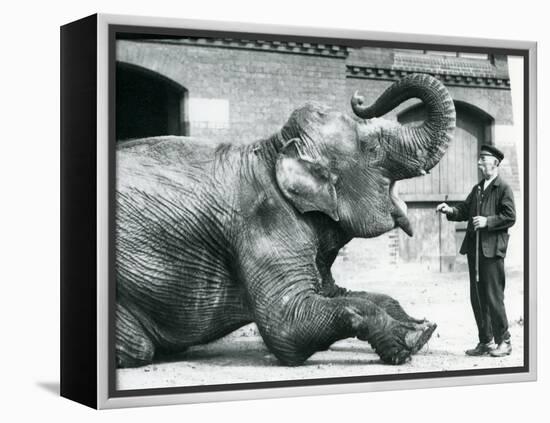 Female Indian Elephant 'Suffa Culli'-Frederick William Bond-Framed Premier Image Canvas