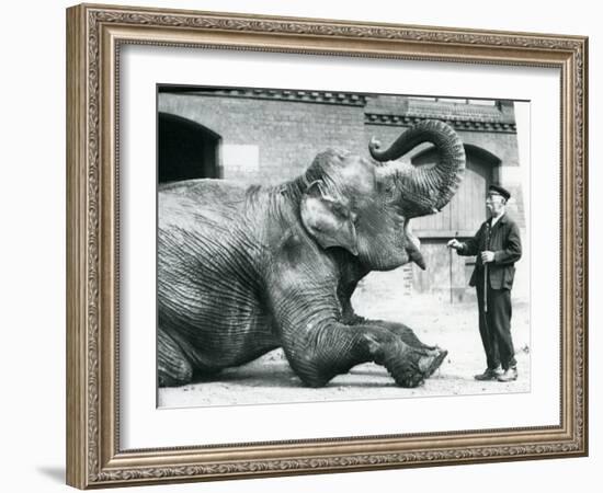 Female Indian Elephant 'Suffa Culli'-Frederick William Bond-Framed Photographic Print